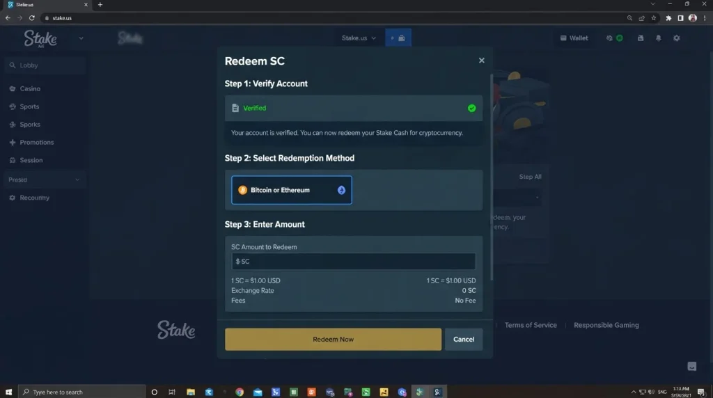 StakeUS redemption interface showing Stake Cash redemption controls and verification requirements